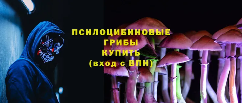 Псилоцибиновые грибы Psilocybe  маркетплейс клад  Неман  закладка 